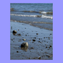 Rocas en la playa posters