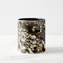 Rocas y agua taza