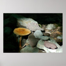 Rocas y sombra poster