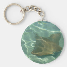 Rochen im Meer Schlüsselbänder