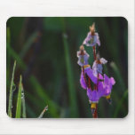 Rocío de los Wildflowers de los prados Tapete De Ratones