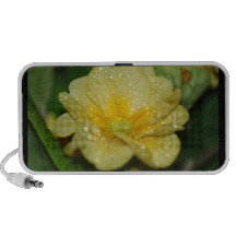 Rocío en una primavera laptop altavoces