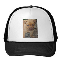 Rocket de la esperanza pasada gorros bordados