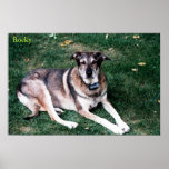 Rocky - mi amigo impresiones