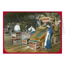 Rodando las hojas de té por la máquina (circa 1902 tarjetas