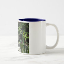 Rodeoratdogs Rockstar Taza