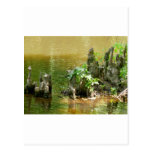 Rodillas de Cypress Tarjetas Postales