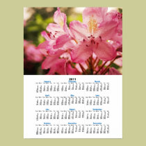 Rododendro rosado en el calendario de la lluvia 20 posters