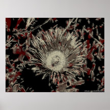 Rojo blanco del negro del ejemplo de la abeja y de poster