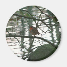 Rojo de Lil Imán De Frigorifico