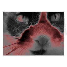 Rojo de neón del gato felicitaciones
