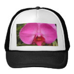 Rojo de Porchid Gorra