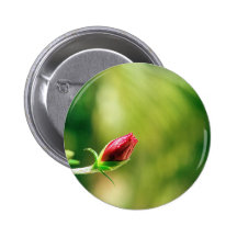rojo pin