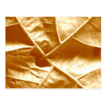 rojos de la hoja tarjeta postal