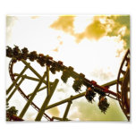 Roller coaster fotografías  