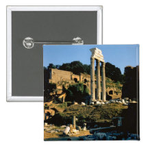 Roma, Foro Romano, 1956 Pins