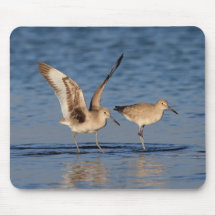 Romance de Willet Alfombrilla De Ratón