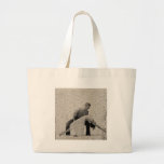 Romance olvidado 5 bolsas