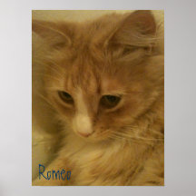 Romeo Poster