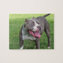 ROMPECABEZAS AZUL DE PITBULL