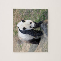 Rompecabezas de la panda gigante
