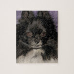 Rompecabezas de Pomeranian