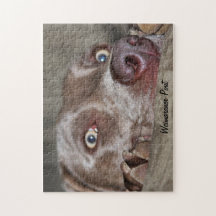 Rompecabezas del abadejo de Weimaraner