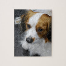 Rompecabezas del perrito de Kooikerhondje