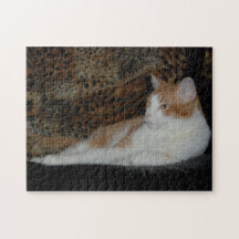 Rompecabezas perezoso del gato