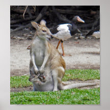 Roo y Joey Impresiones