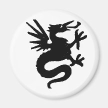 Ropa 36 del dragón iman