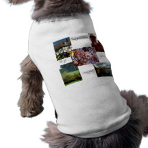 Ropa del perro - chaqueta divertida - recuerdo bri camisas de mascota