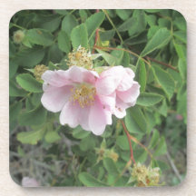 Rosa 4 posavasos de bebida