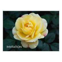 Rosa amarillo DSC3676 Invitacion Personalizada