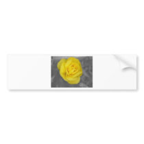 Rosa amarillo en la niebla pegatinas de parachoque