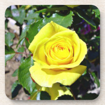 Rosa amarillo lindo posavasos de bebidas