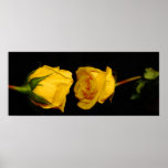 Rosa amarillo impresiones