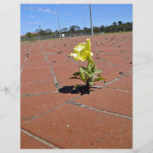 Rosa amarillo que florece en un día soleado tarjeton