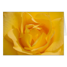 Rosa amarillo tarjetas