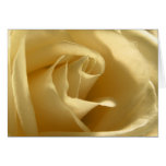 Rosa amarillo tarjetas