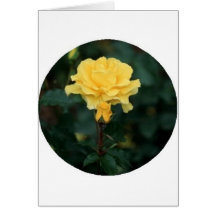 Rosa amarillo tarjetón
