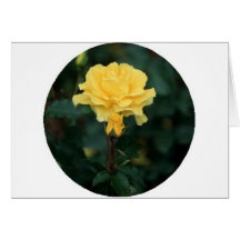 Rosa amarillo tarjeton