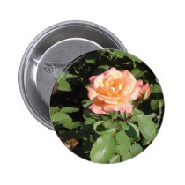 Rosa anaranjado y amarillo botones