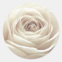 Rosa blanco bonito etiquetas redondas