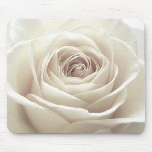 Rosa blanco bonito tapete de ratones