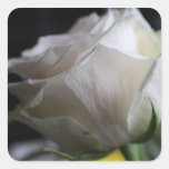 Rosa blanco calcomanía cuadradas personalizadas