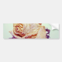 Rosa blanco con las chispas pegatina de parachoque