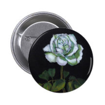 ROSA BLANCO EN LÁPIZ DEL COLOR EN NEGRO PINS