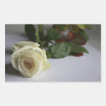 Rosa blanco etiqueta