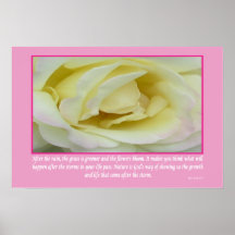 Rosa blanco inspirado - poster